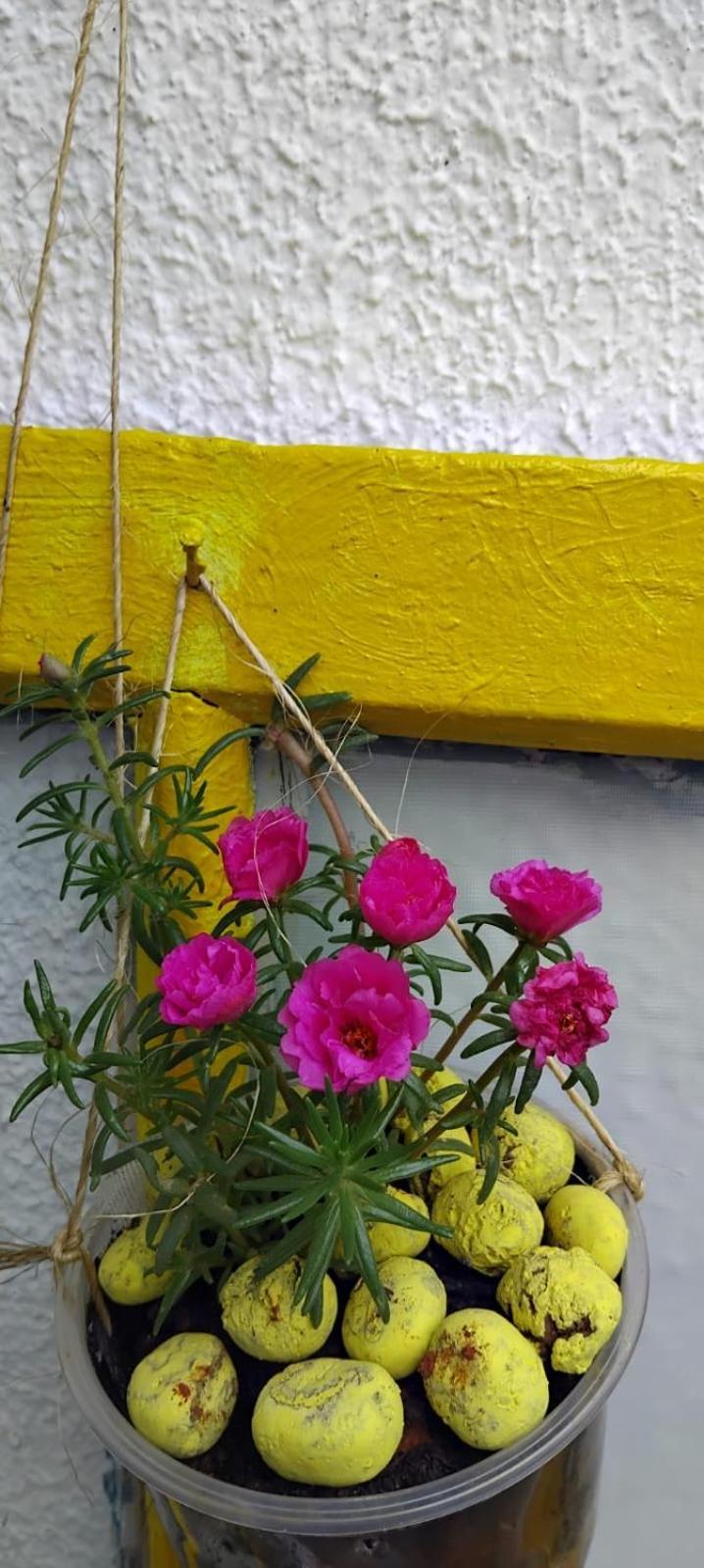 Hostel Aprisco Sao Paulo Dış mekan fotoğraf